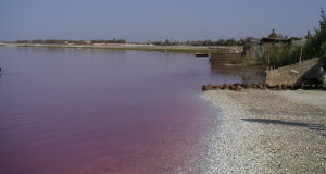 lago-rosa