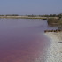 lago-rosa