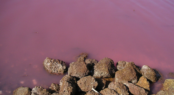 lago-rosa-lake-retba