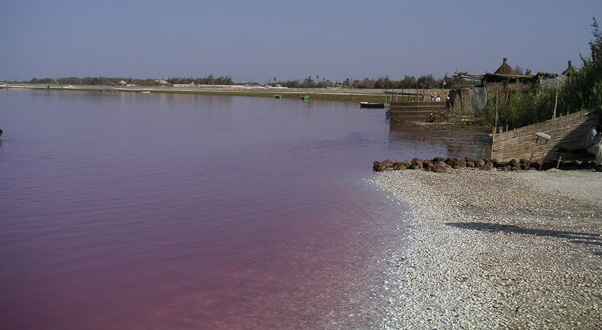 lago-rosa