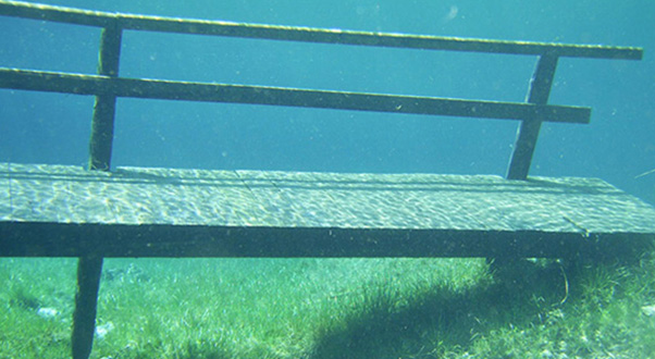 lago-verde-gruner-see