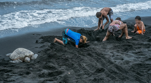 pulanuu-spiaggia-nera-hawaii