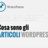 cosa-sono-gli-articoli-wordpress