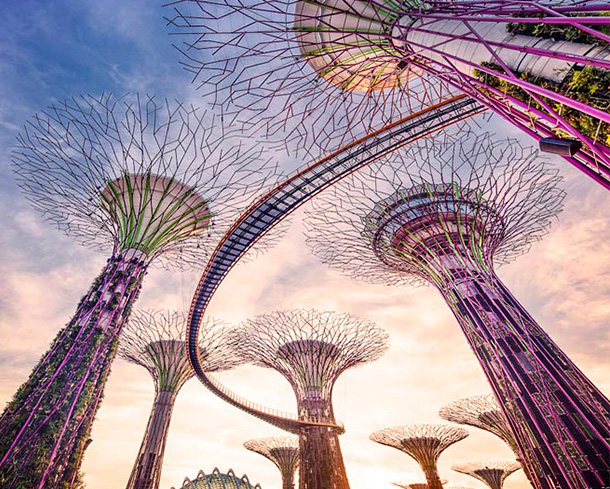 Gardens-Supertrees-skywalk
