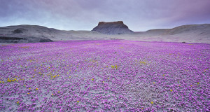 altopiano-del-colorado