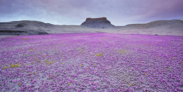 altopiano-del-colorado