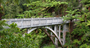the-bridge-to-nowhere