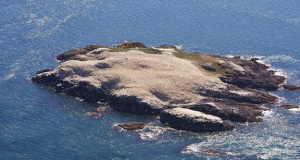 isola-grassholm