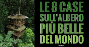 le-8-case-sull'albero-più-belle-del-modno