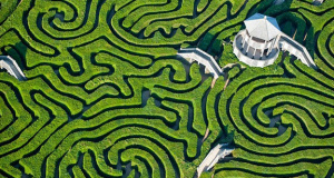 longleat-hedge-maze