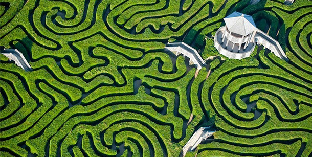 longleat-hedge-maze