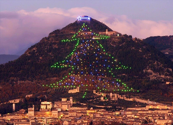 gubbio-albero-piu-grande-del-mondo