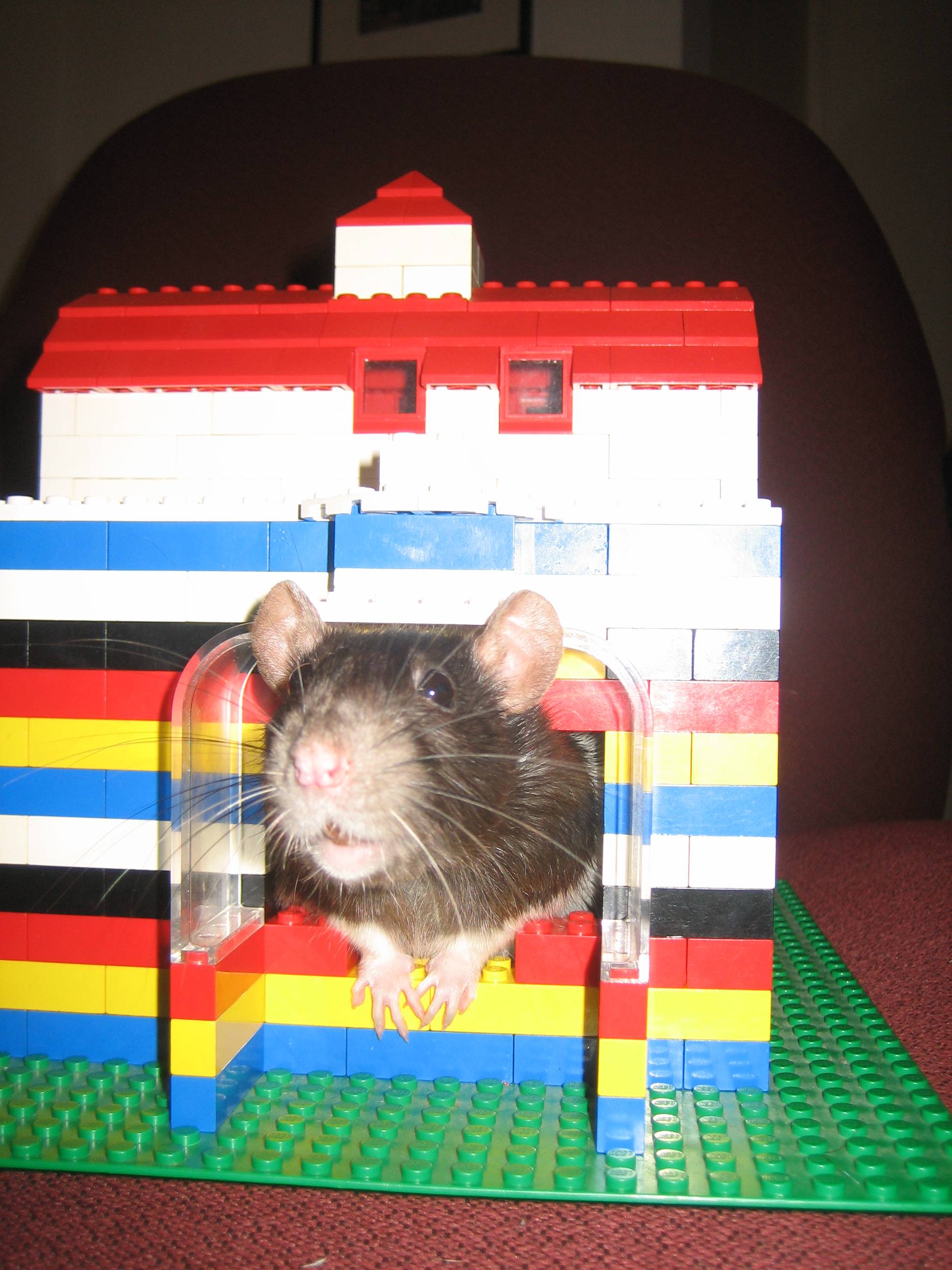 lego-nella-vita-normale-14