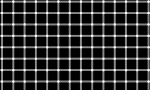 illusioni ottiche (13)